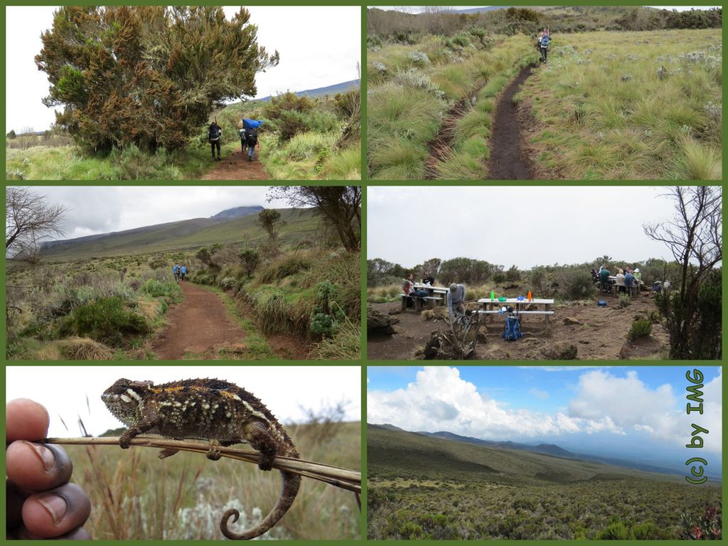 Madara Horombo Trekking Kilimadschao Kilimajaro