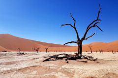 deadvlei-namibia-sonnenaufgang-duenen-sand-06
