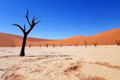 deadvlei-namibia-sonnenaufgang-duenen-sand-07