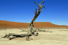 deadvlei-namibia-sonnenaufgang-duenen-sand-11