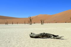 deadvlei-namibia-sonnenaufgang-duenen-sand-12