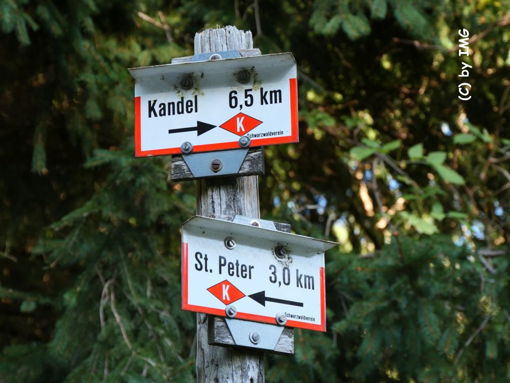 Schwarzwald – Kandelhöhenweg – von St. Peter auf den Kandel