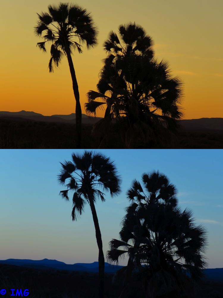 https://travel-explore.de/wp-content/uploads/2022/02/Sunset-Palmwag-Palme.jpg