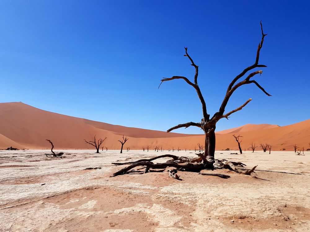 Namibia – Dünen im Sossusvlei und Deadvlei
